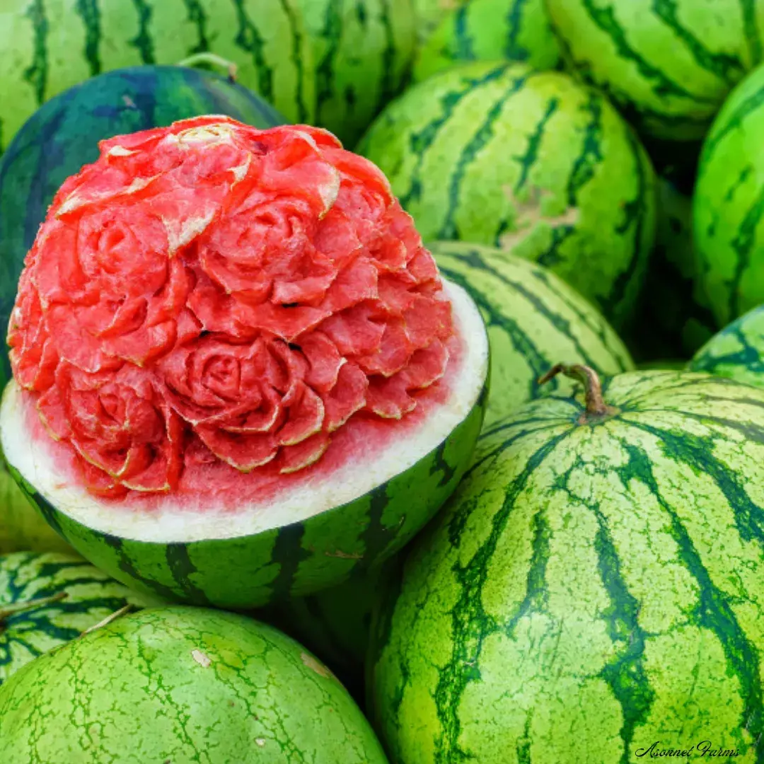 http://water%20melon%20-%20asonnet%20farms