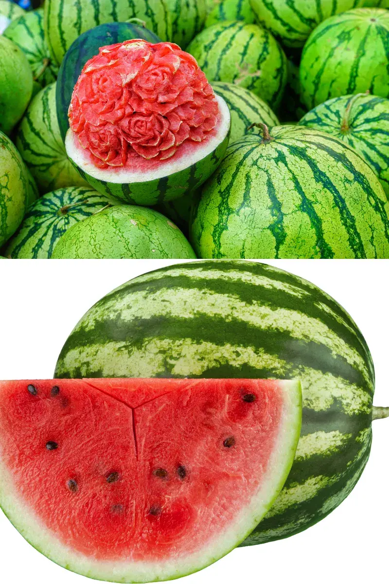 Water melon - asonnet farms